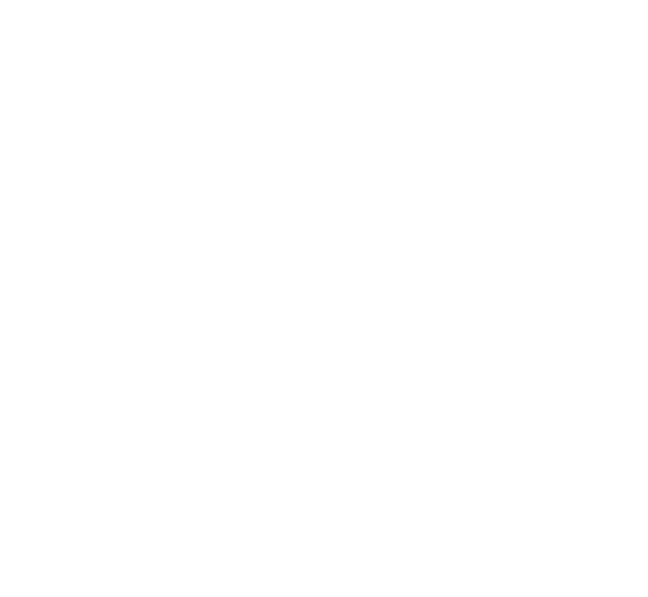 AI Savvy CEO
